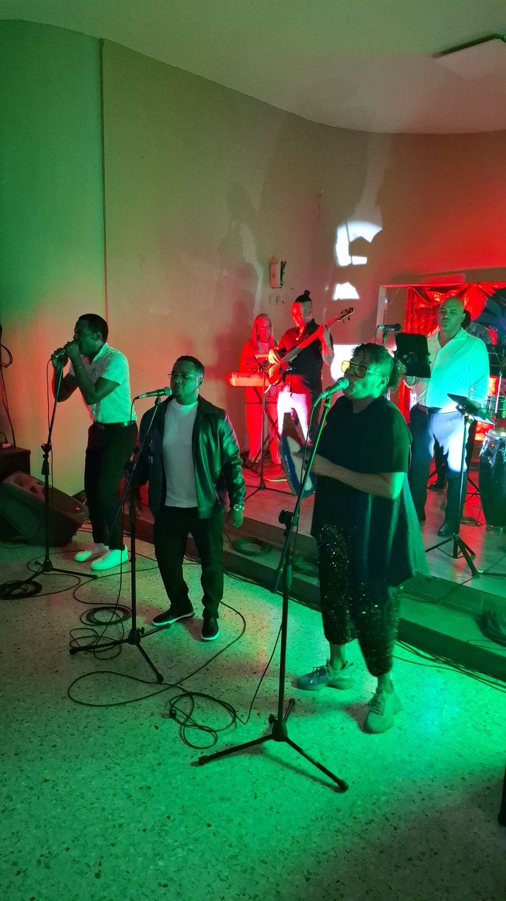 Grupo en vivo cantando en el escenario